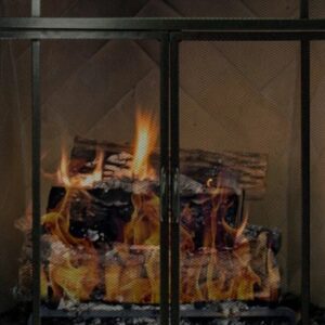Fireplace Screens
